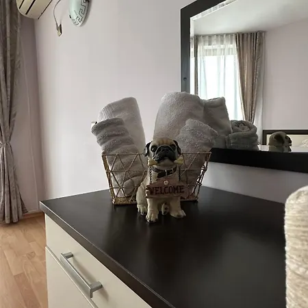 公寓 Sea View South *